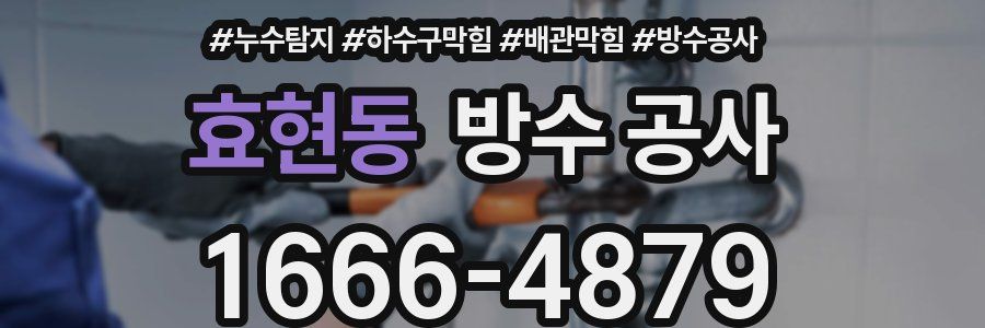 효현동 방수 공사