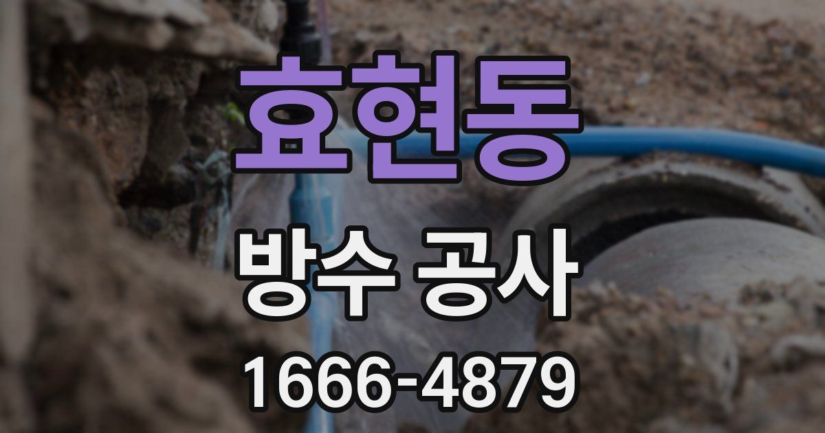 효현동 방수 공사