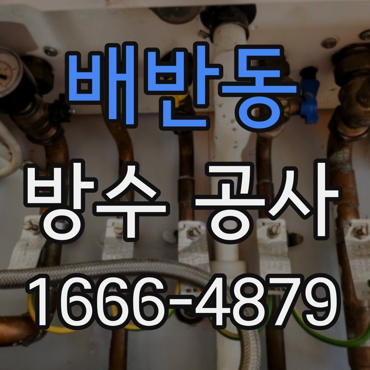 배반동 방수 공사