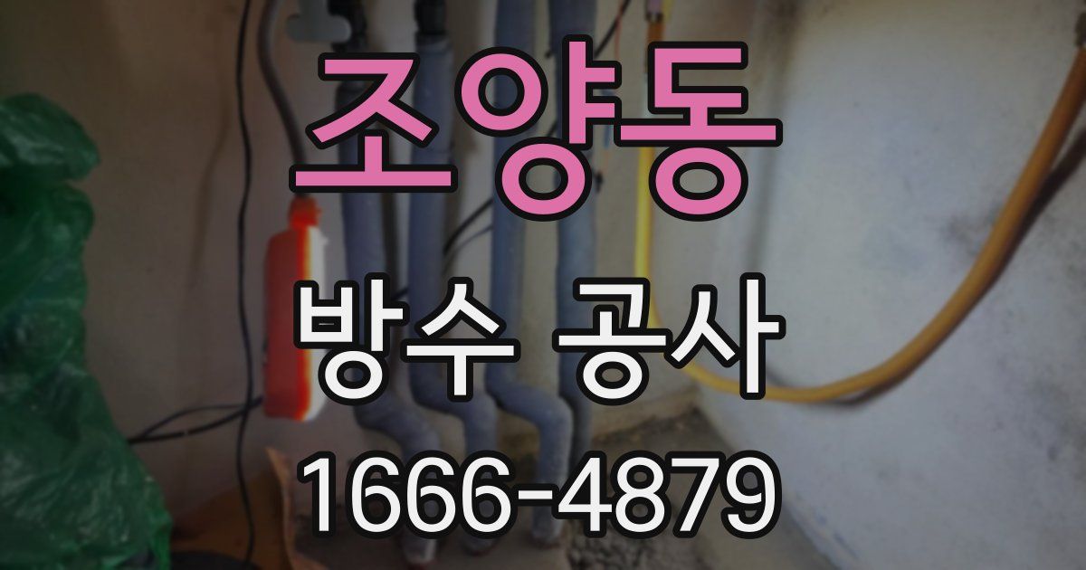 조양동 방수 공사