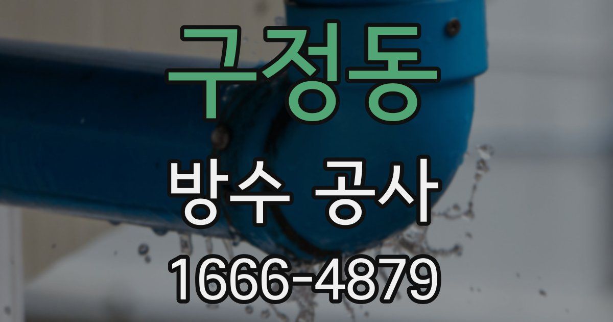 구정동 방수 공사