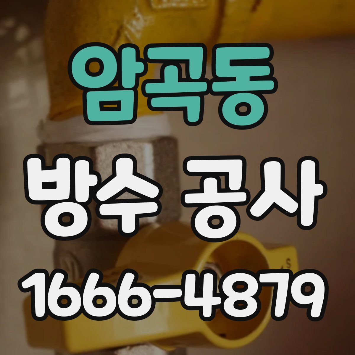 암곡동 방수 공사