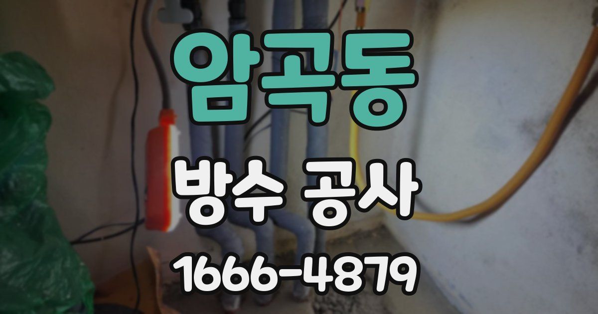 암곡동 방수 공사