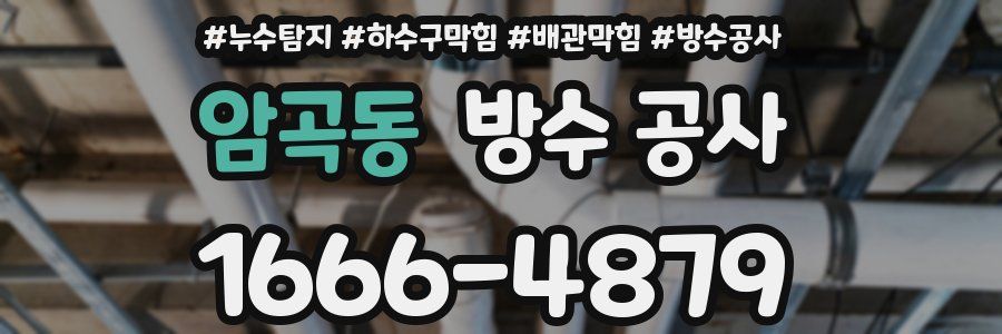 암곡동 방수 공사