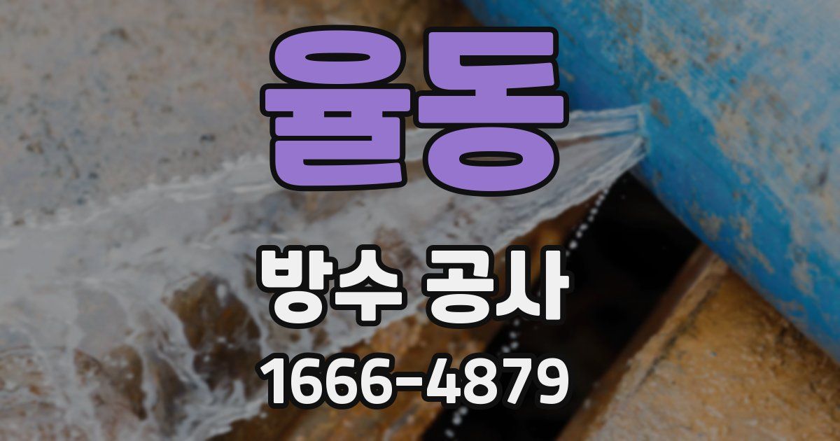 율동 방수 공사