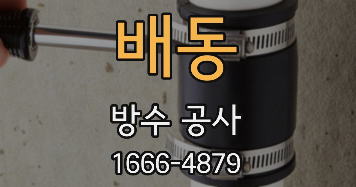 배동 방수 공사