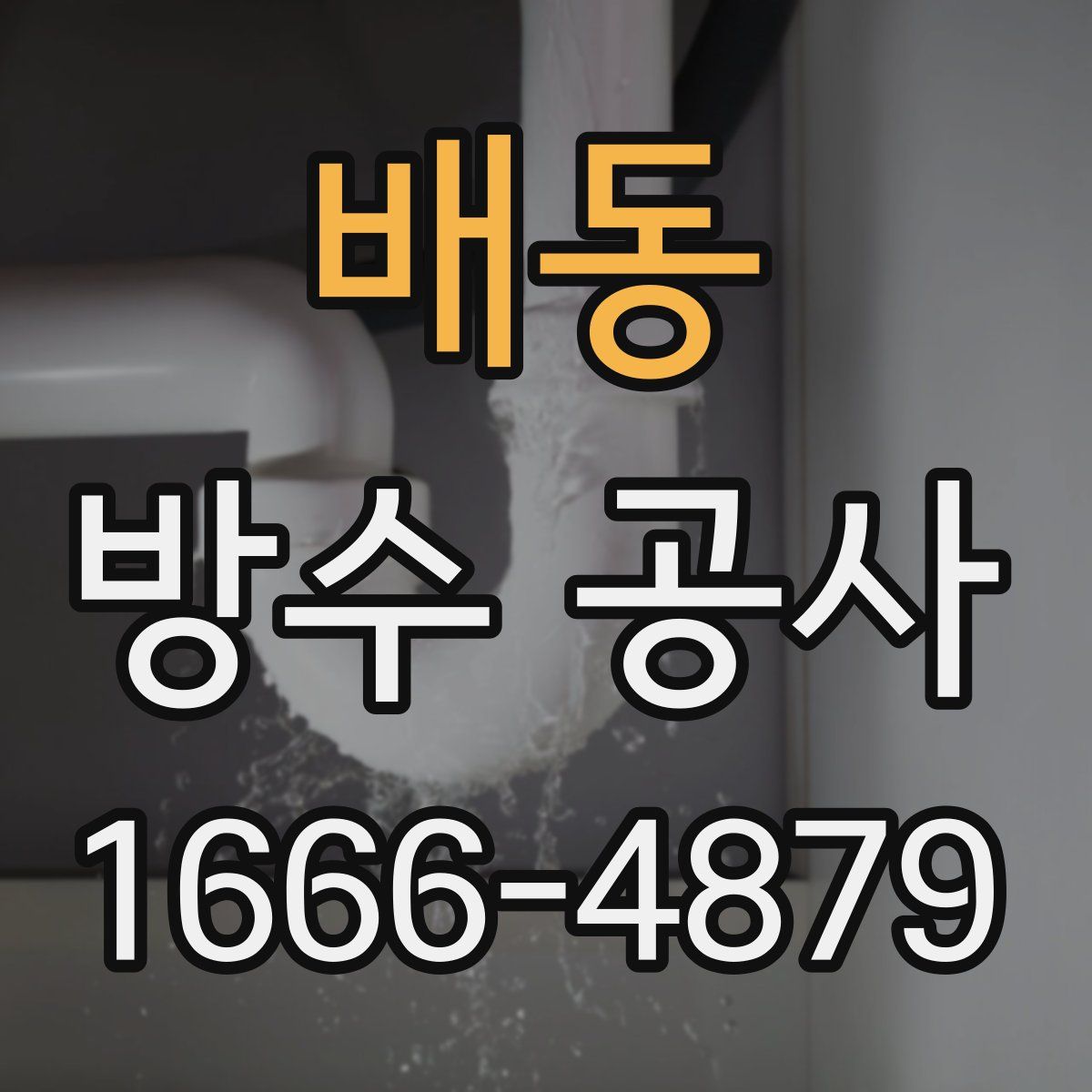 배동 방수 공사