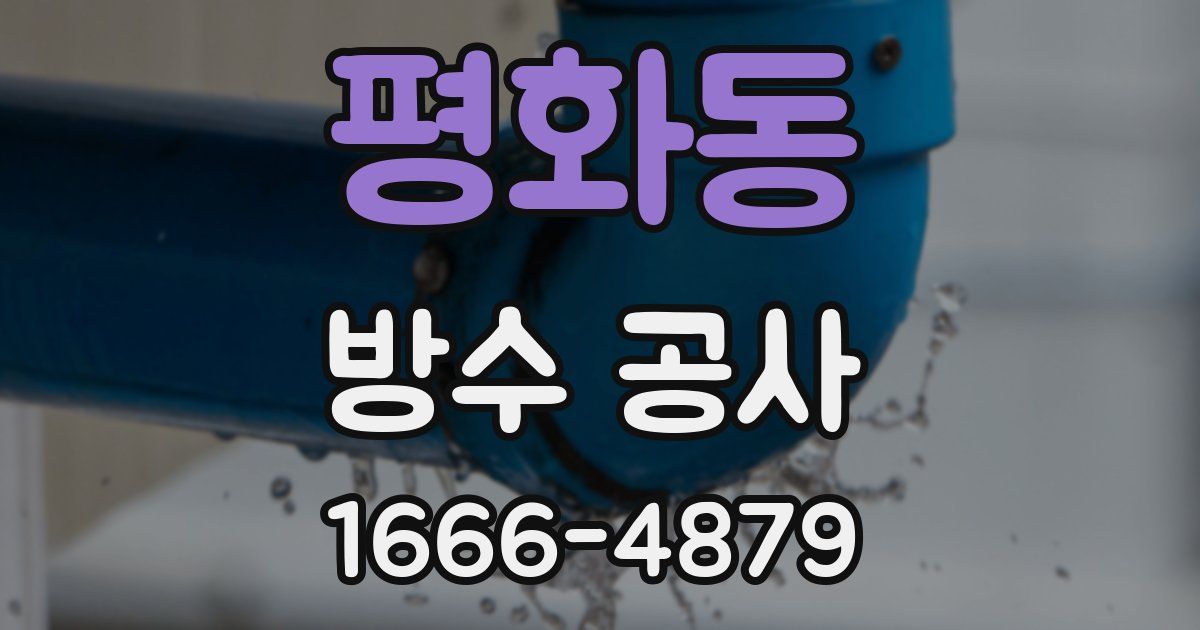 평화동 방수 공사