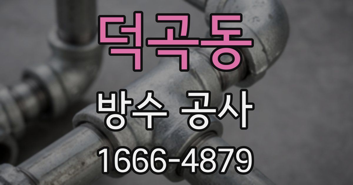 덕곡동 방수 공사
