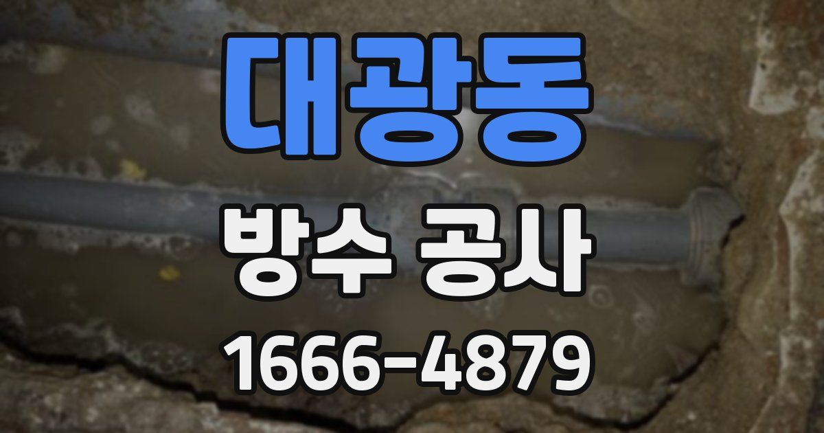 대광동 방수 공사