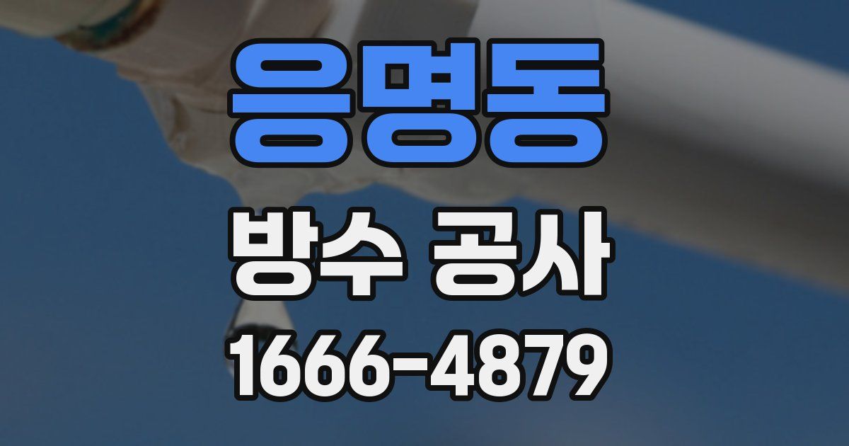 응명동 방수 공사