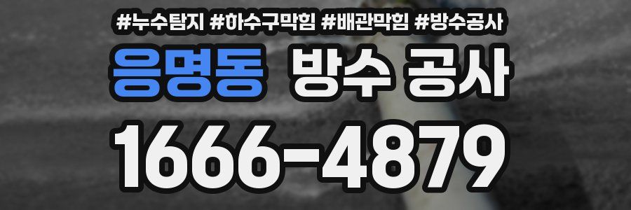 응명동 방수 공사