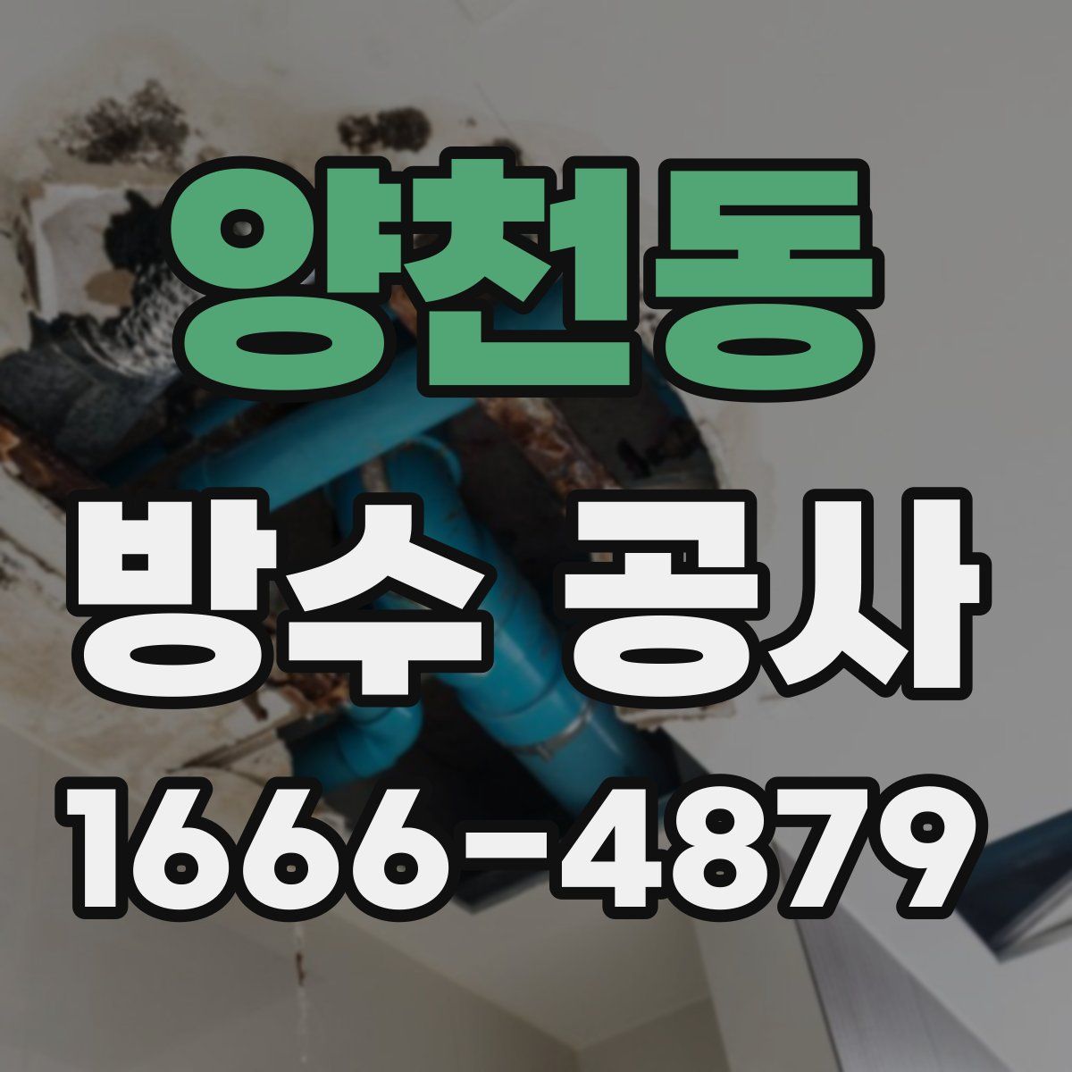양천동 방수 공사