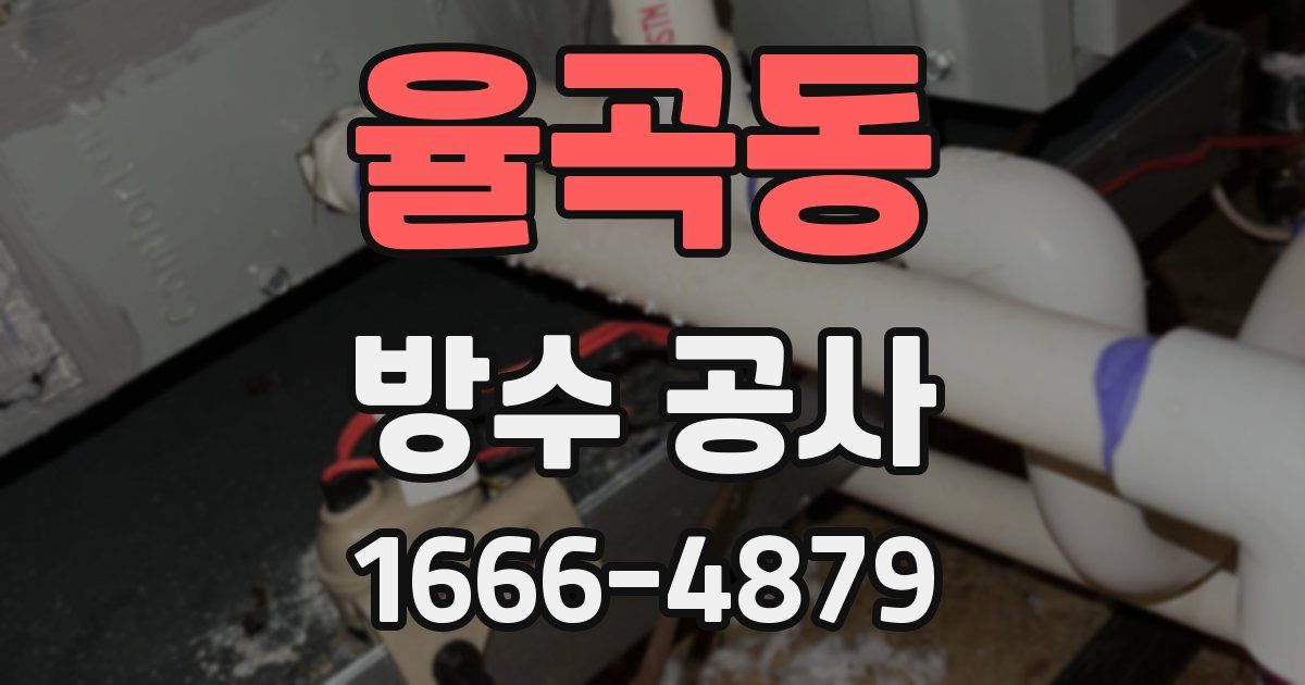 율곡동 방수 공사