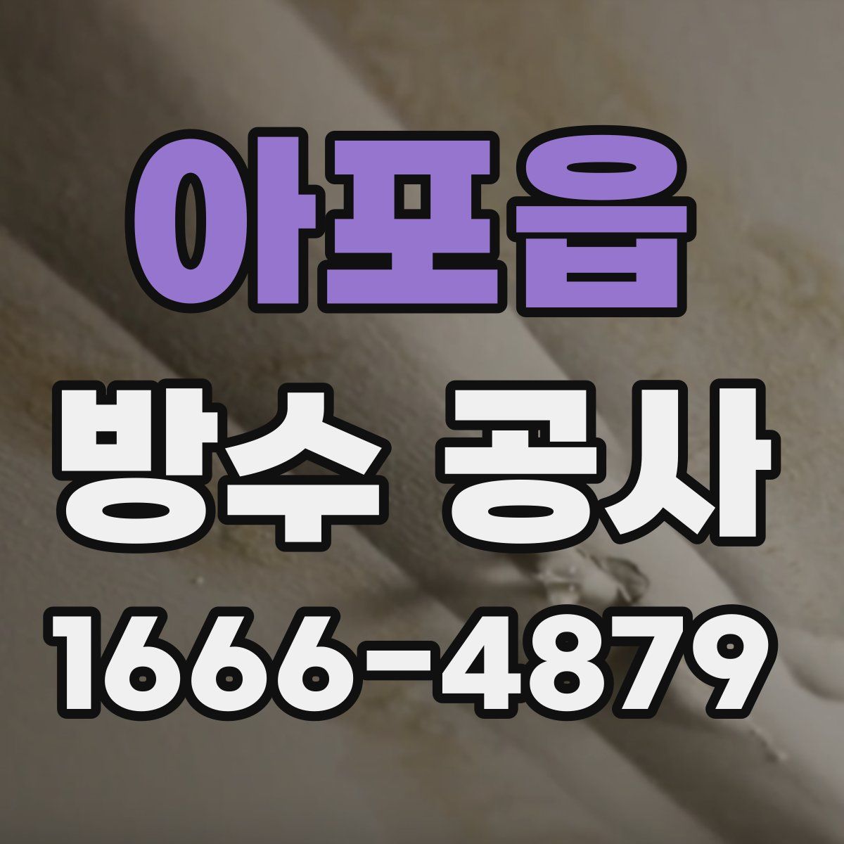 아포읍 방수 공사