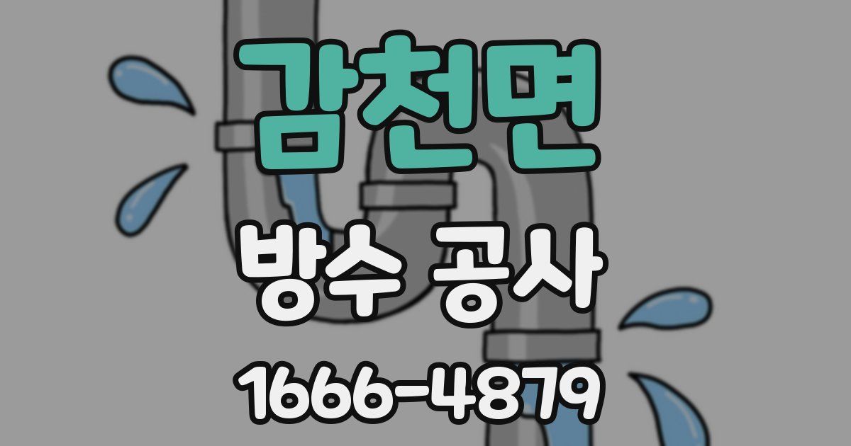 감천면 방수 공사