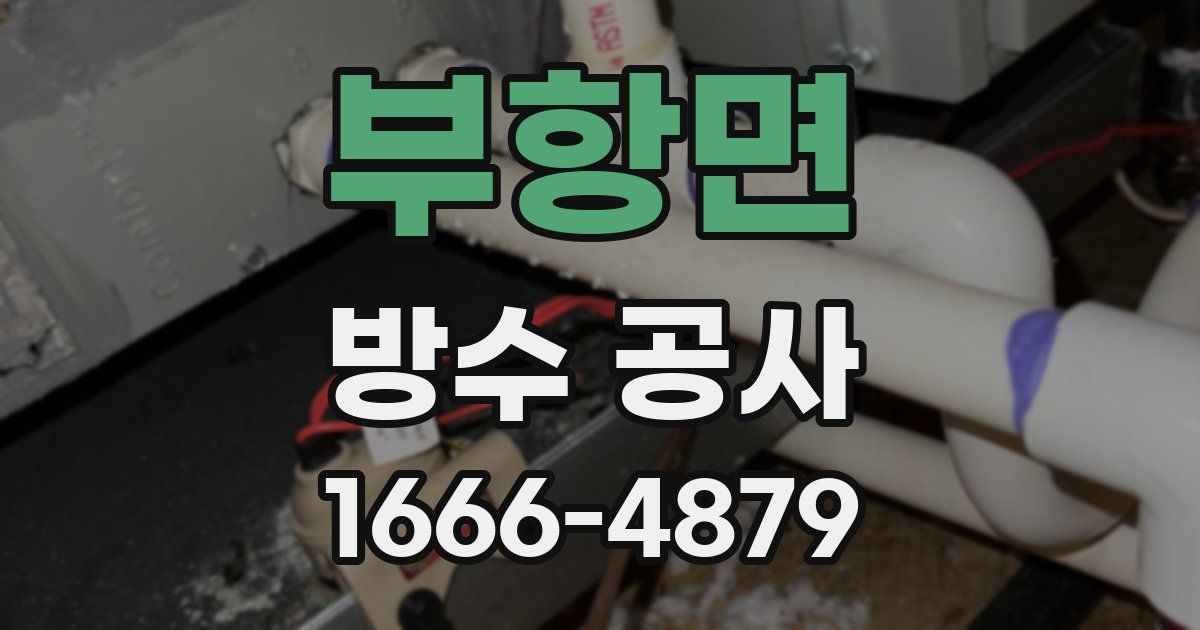 부항면 방수 공사