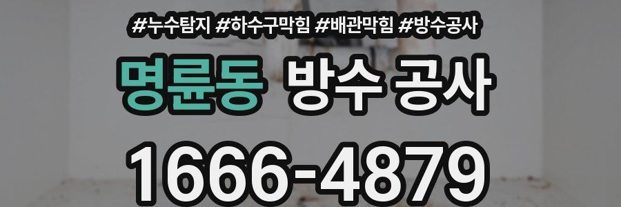 명륜동 방수 공사