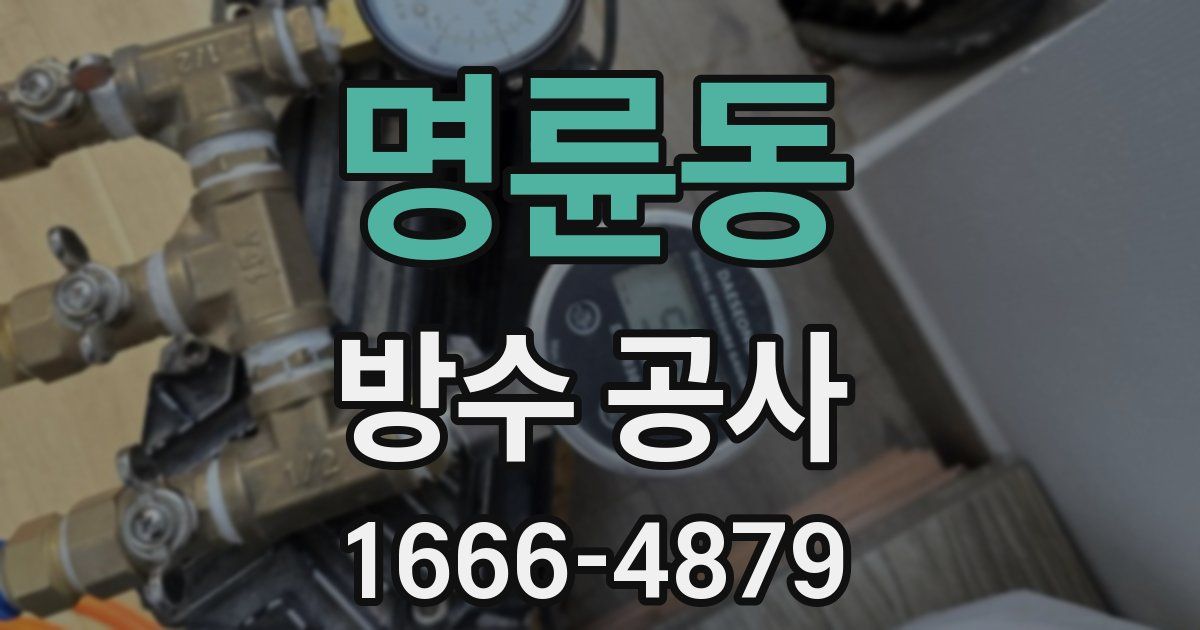 명륜동 방수 공사