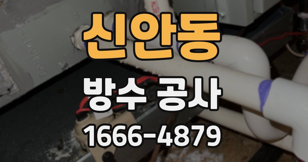 신안동 방수 공사