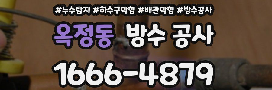 옥정동 방수 공사