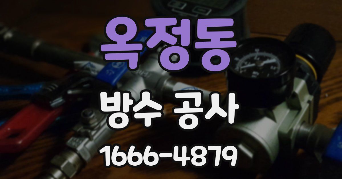 옥정동 방수 공사