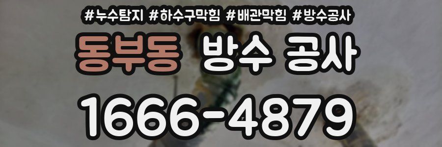 동부동 방수 공사
