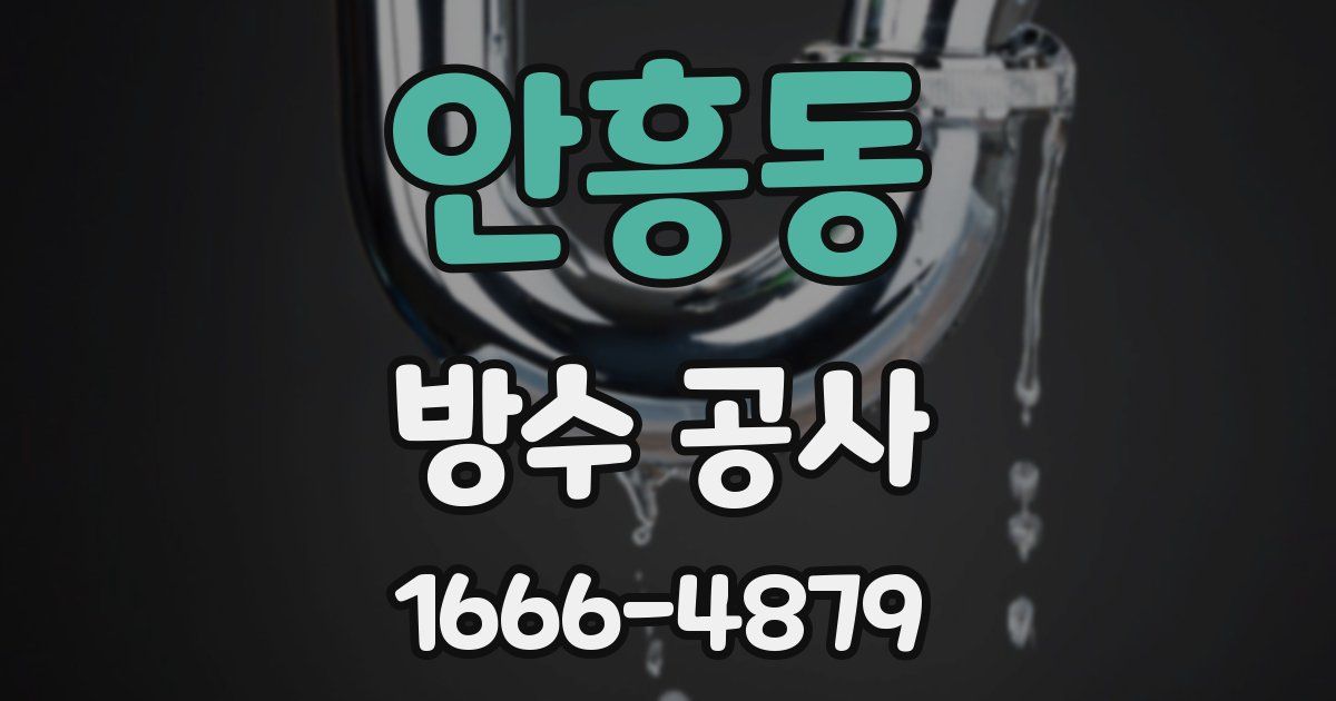 안흥동 방수 공사