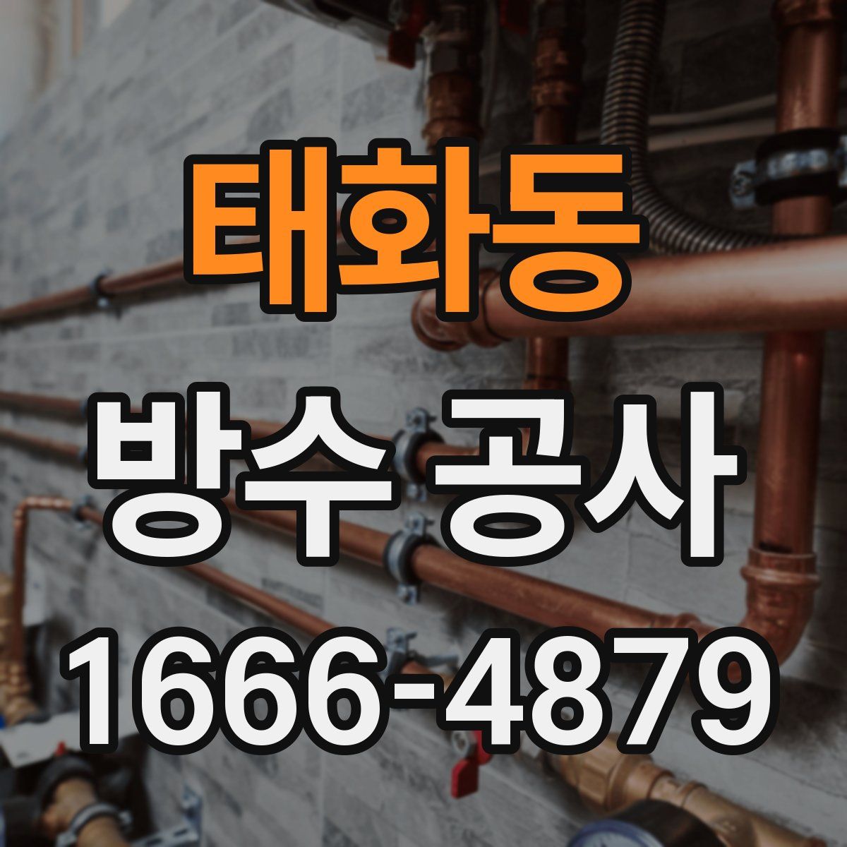 태화동 방수 공사