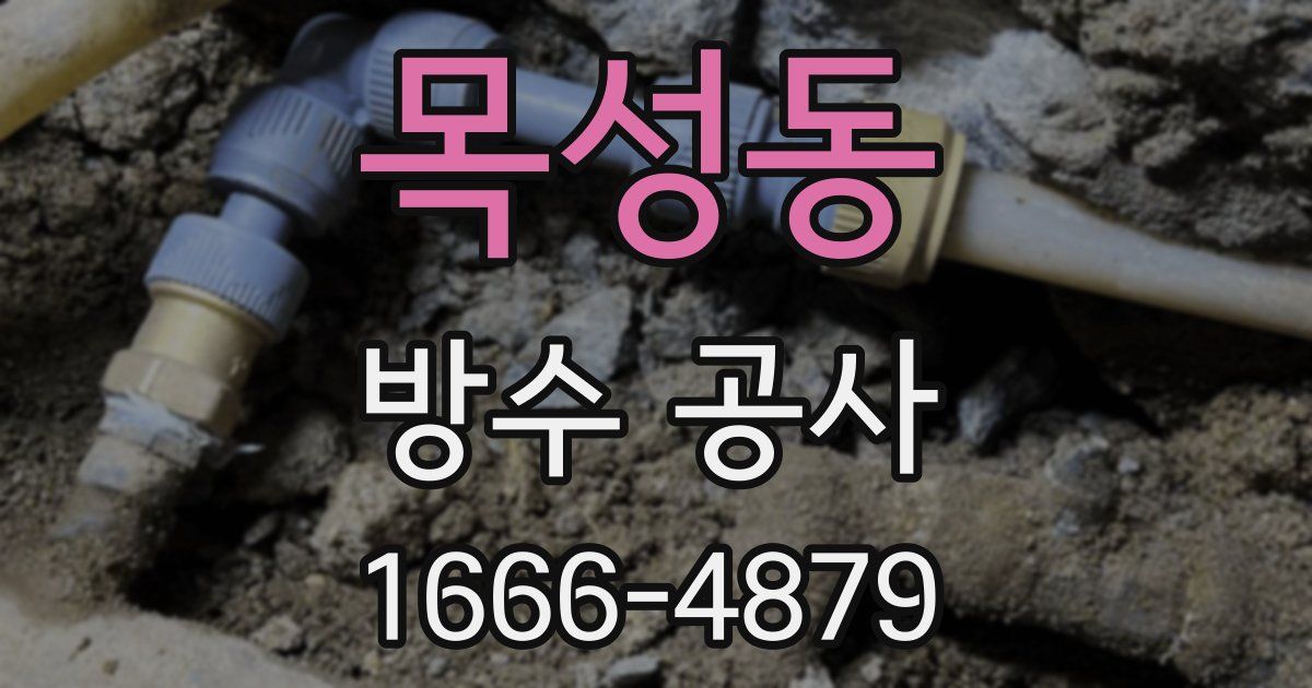 목성동 방수 공사