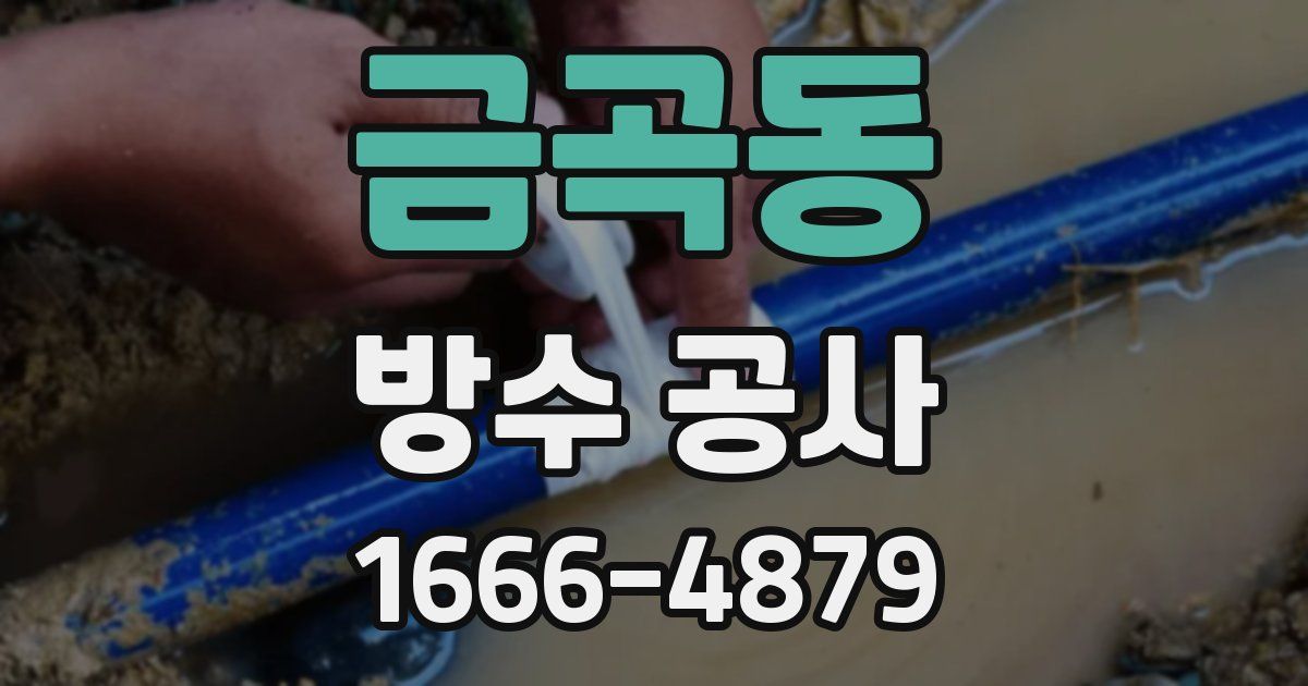 금곡동 방수 공사