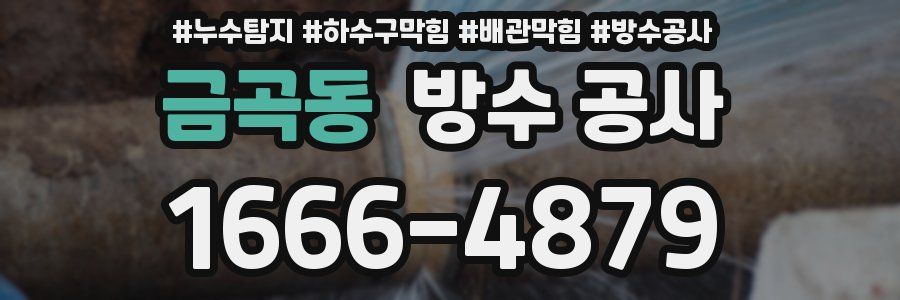 금곡동 방수 공사