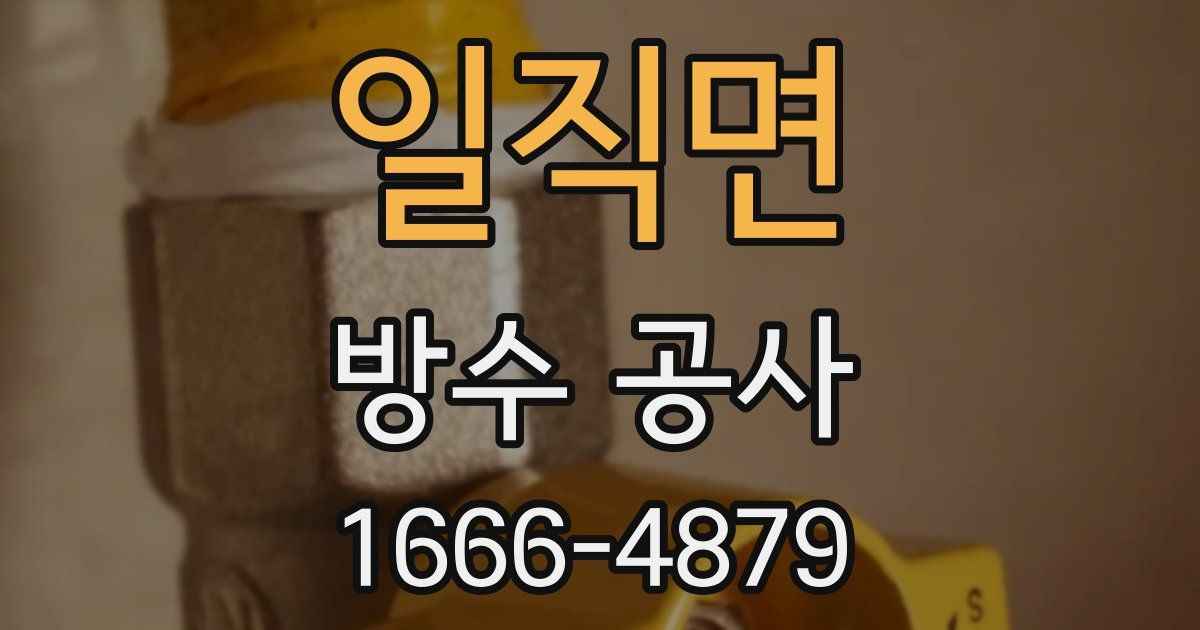일직면 방수 공사