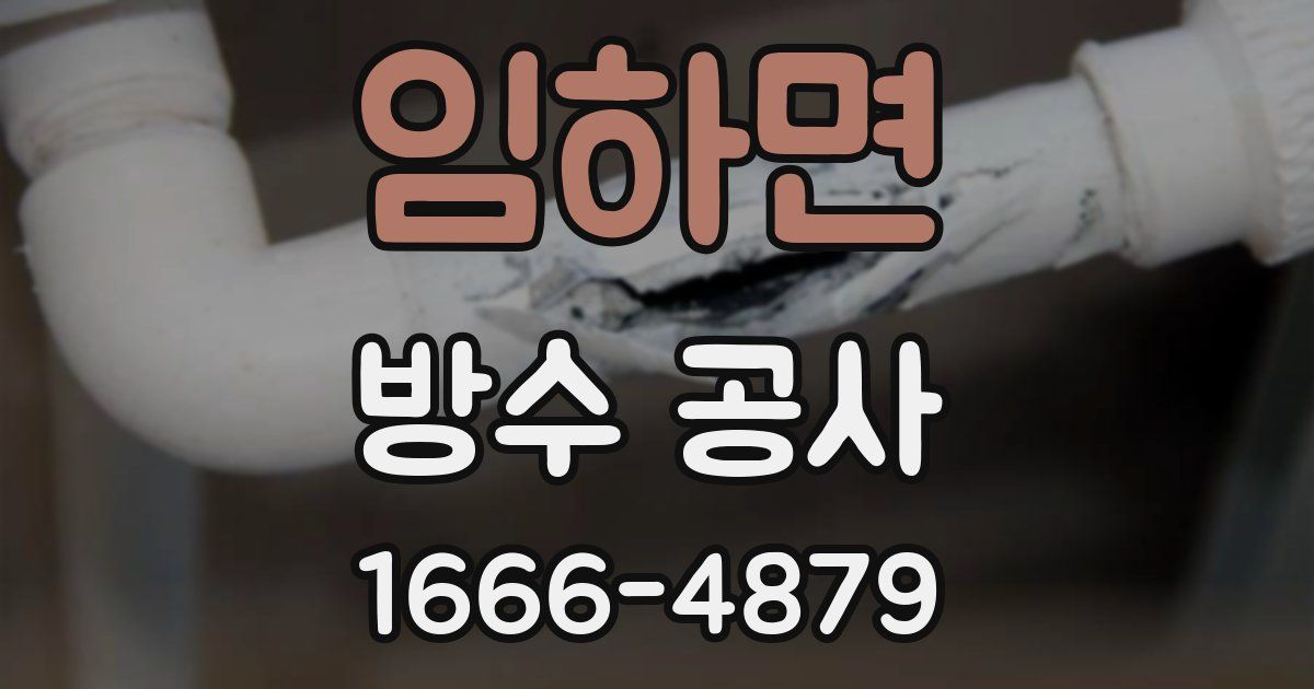 임하면 방수 공사