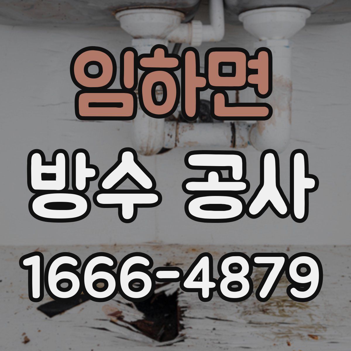임하면 방수 공사