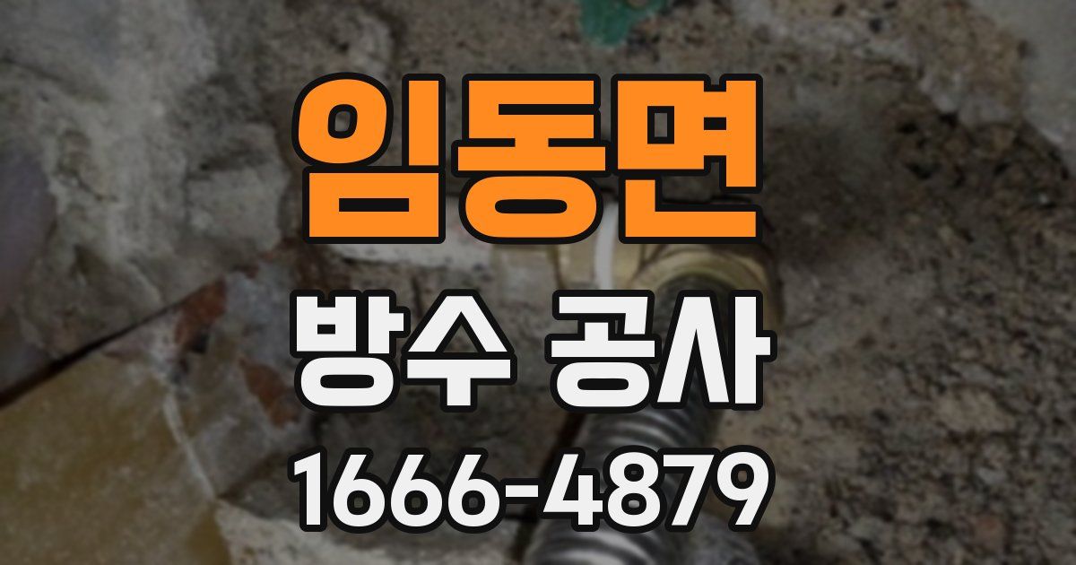 임동면 방수 공사