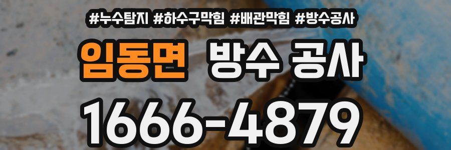 임동면 방수 공사