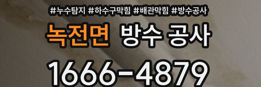 녹전면 방수 공사