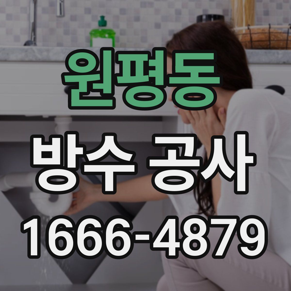 원평동 방수 공사