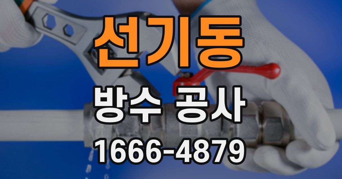 선기동 방수 공사