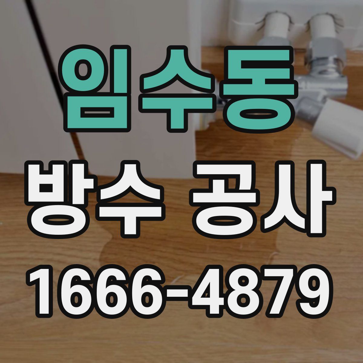 임수동 방수 공사