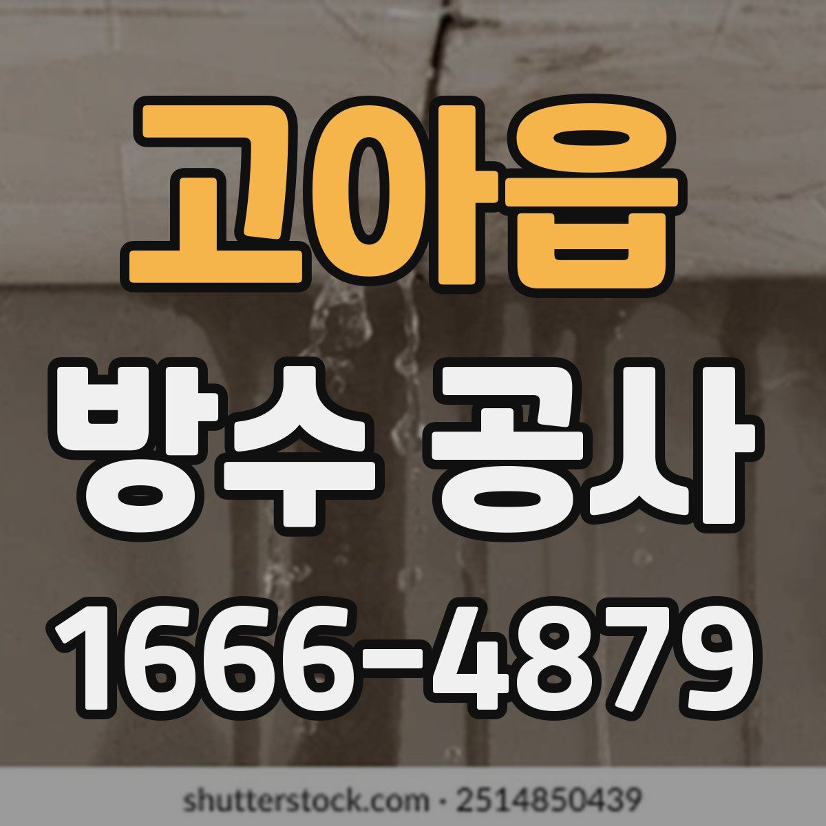 고아읍 방수 공사