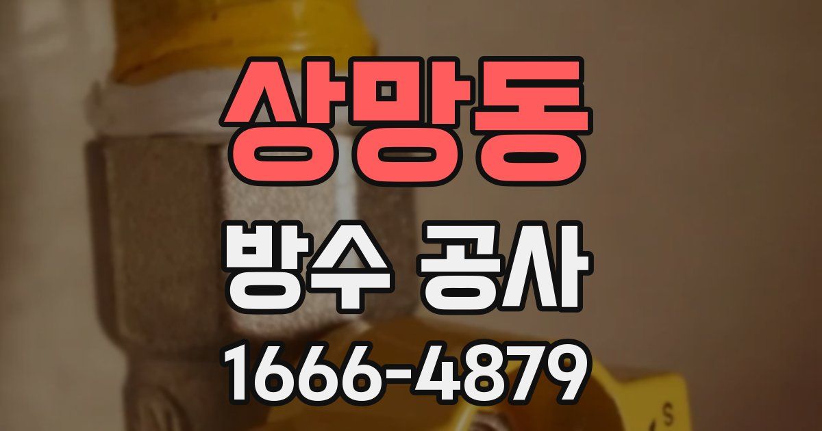 상망동 방수 공사