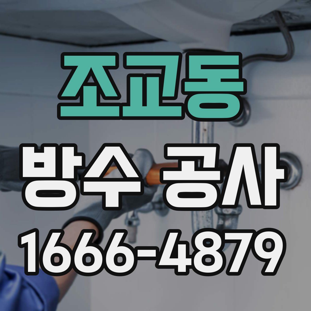조교동 방수 공사