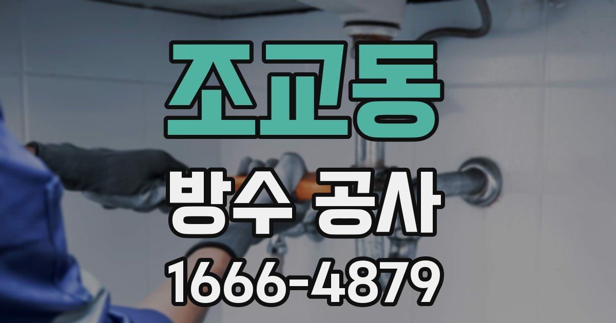 조교동 방수 공사