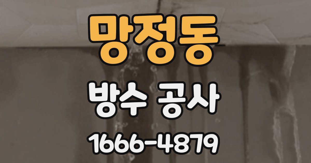 망정동 방수 공사