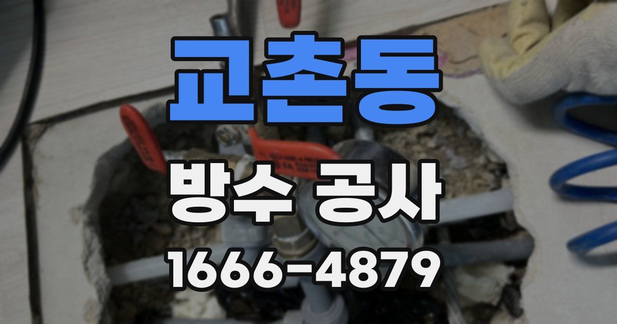 교촌동 방수 공사