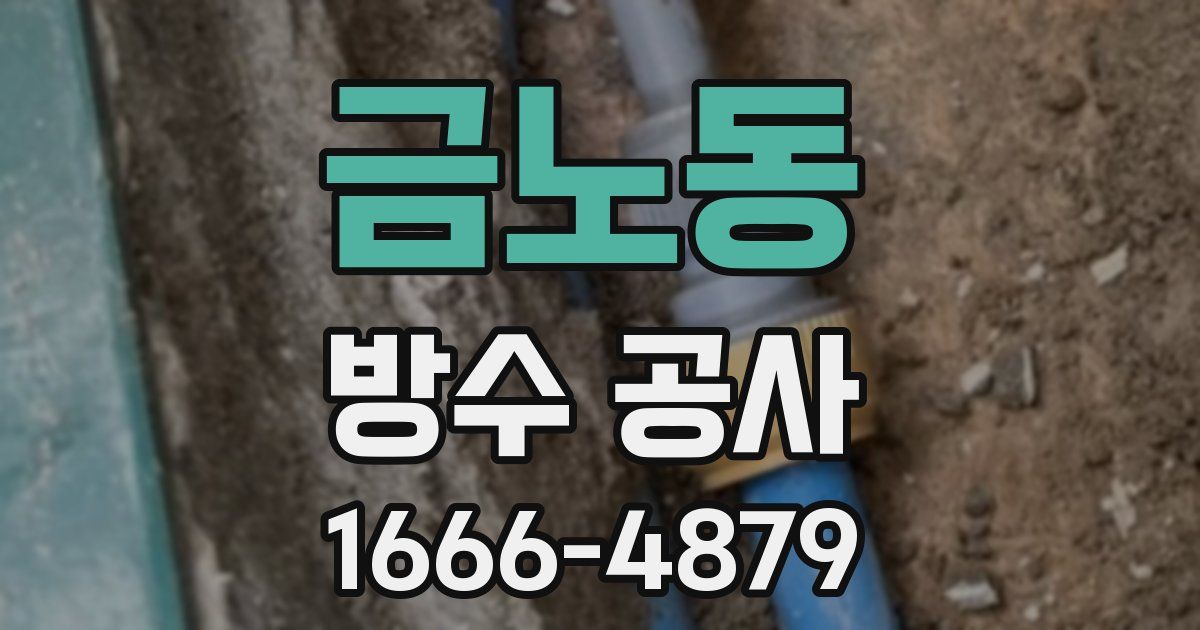 금노동 방수 공사