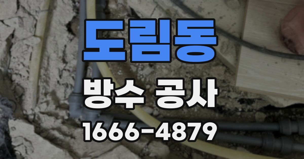 도림동 방수 공사