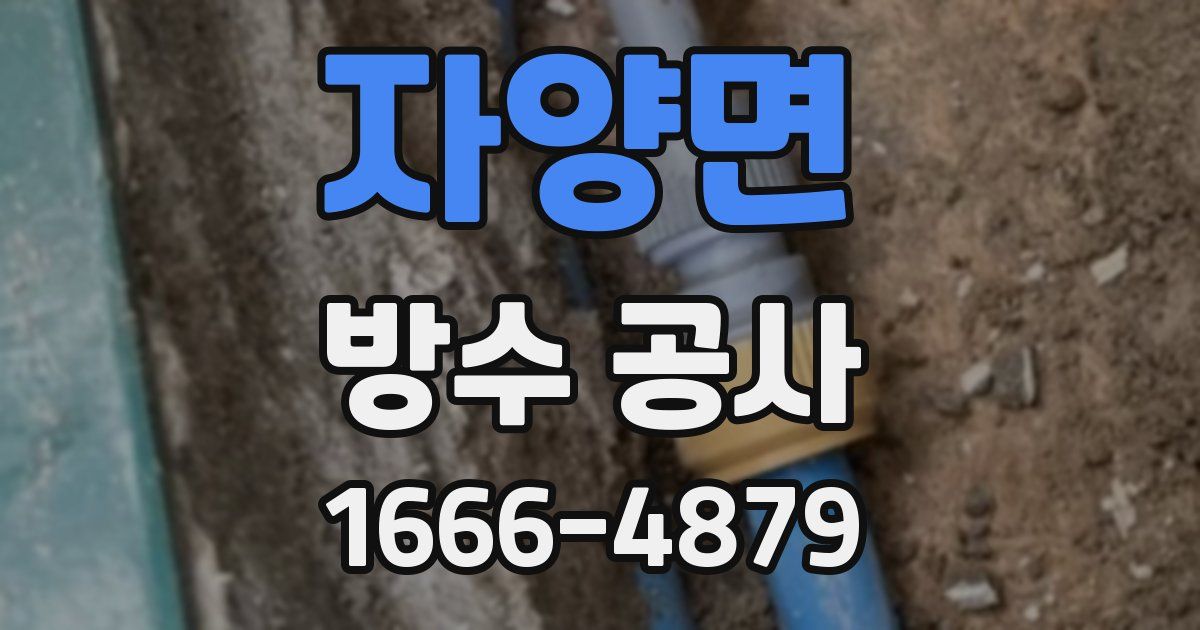 자양면 방수 공사